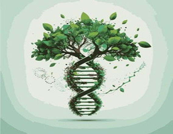 Proyecto Genealogía El pasado nos habla